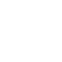 Patriot Consulting
